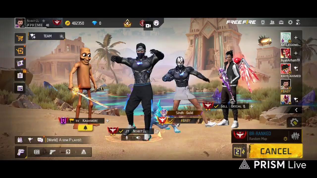 LIVE RBR RANKPUSHING | ON SALEEM GAMING 48