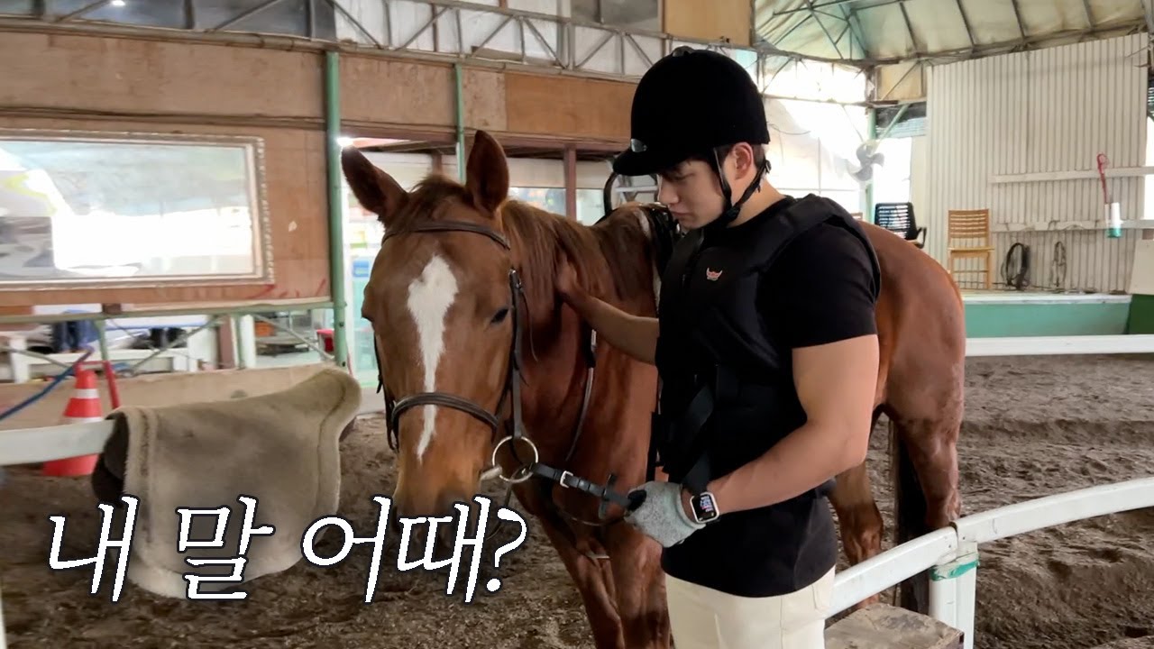 말 타고 싶어서 말 사봤어..!🎠 내 말 이해해? l Feat. 안형민 l 호오오올스🐴l 새해브이로그