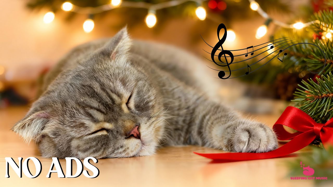 Calming Music for Cats to Relief Stress 🐈 Cat Anti Anxiety Music for Sleep and Deep Relaxation