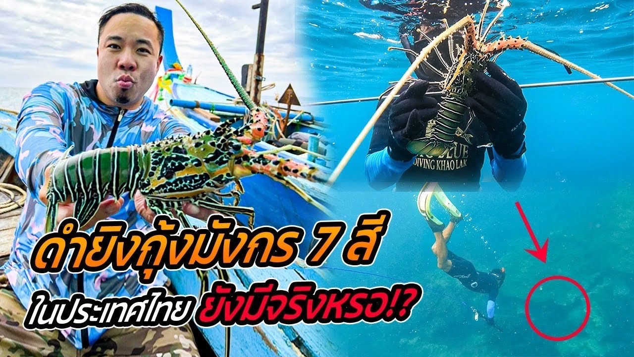 ล่า! ดำน้ำยิงกุ้งมังกร 7 สี! หายากแล้วในไทย!! [หัวครัวทัวร์ริ่ง] EP.167