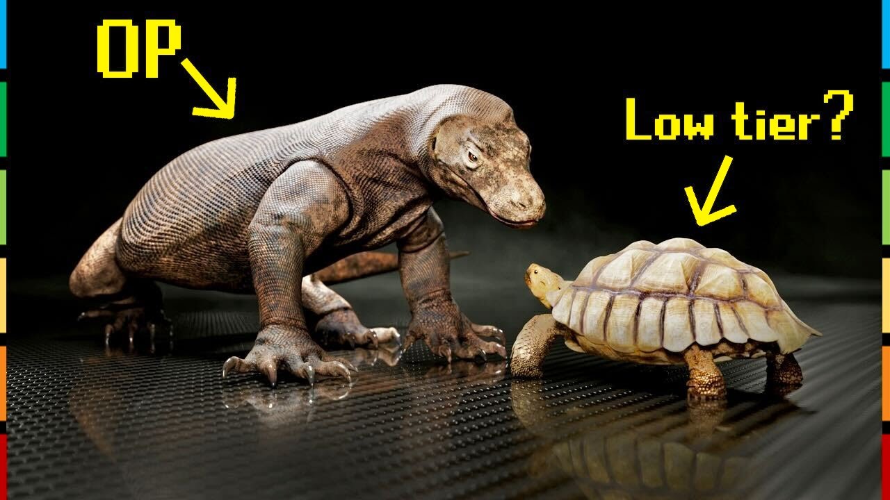 The Reptile Tier List