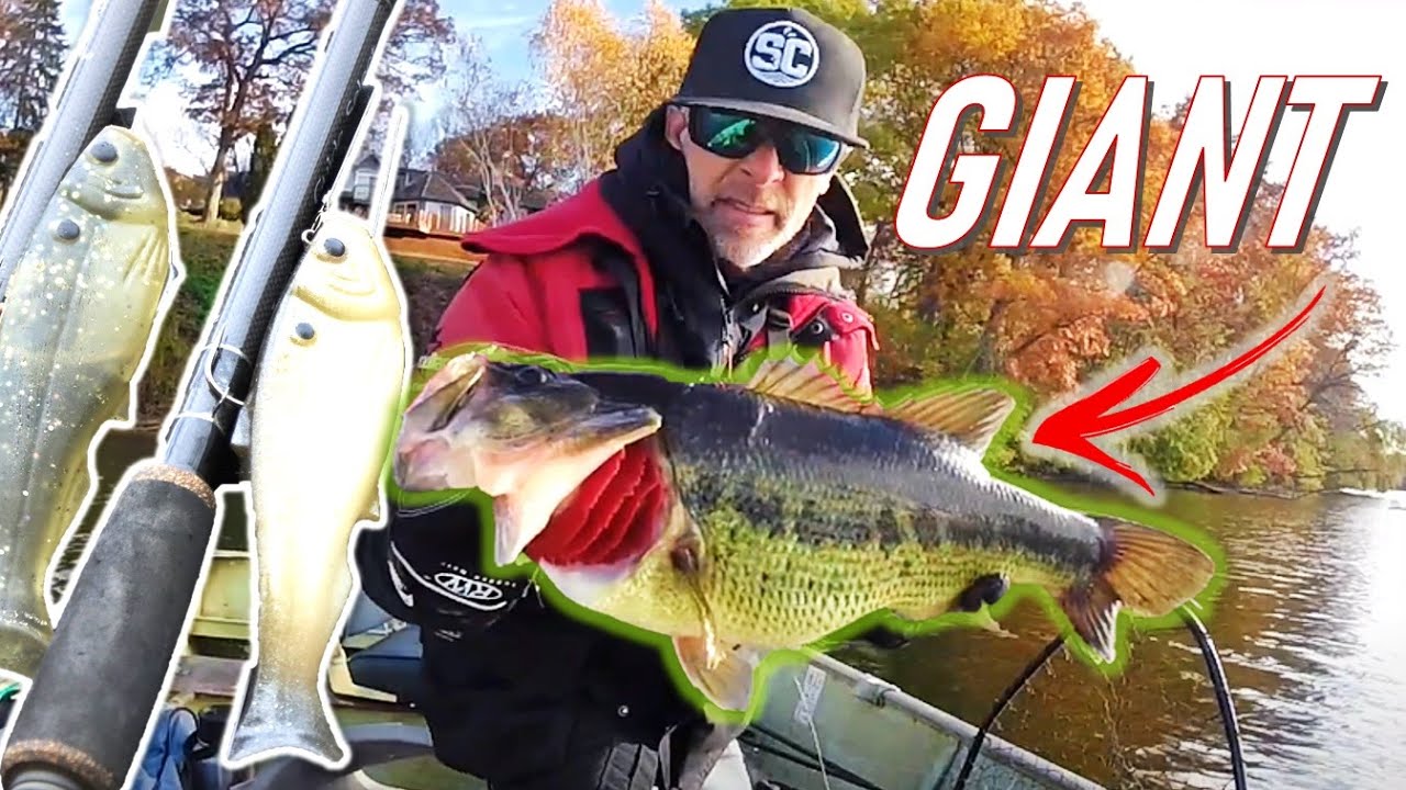 Late fall SWIMBAIT fishing for GIANT BASS!!