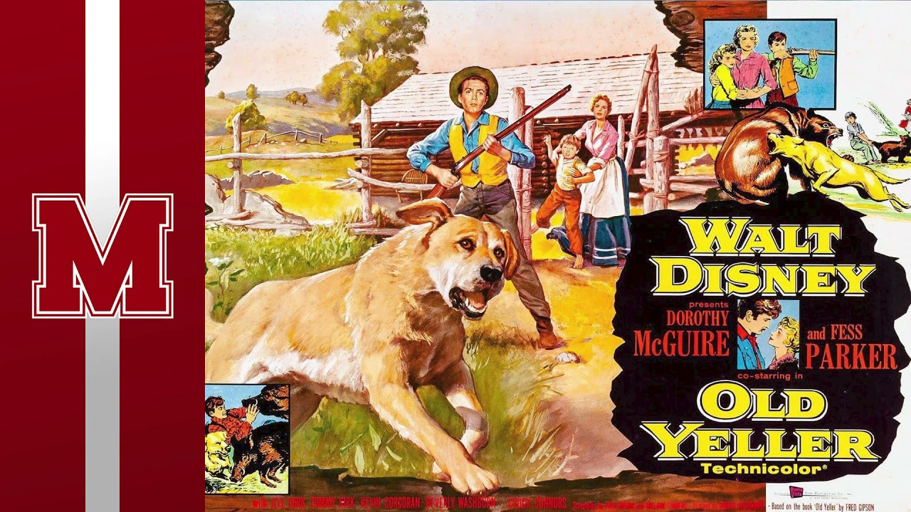 Old Yeller - Season 2 Episode 11 - Medfield College Film Society (A Disney Films Podcast)