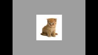 again & again - the bird and the bee (speed up)