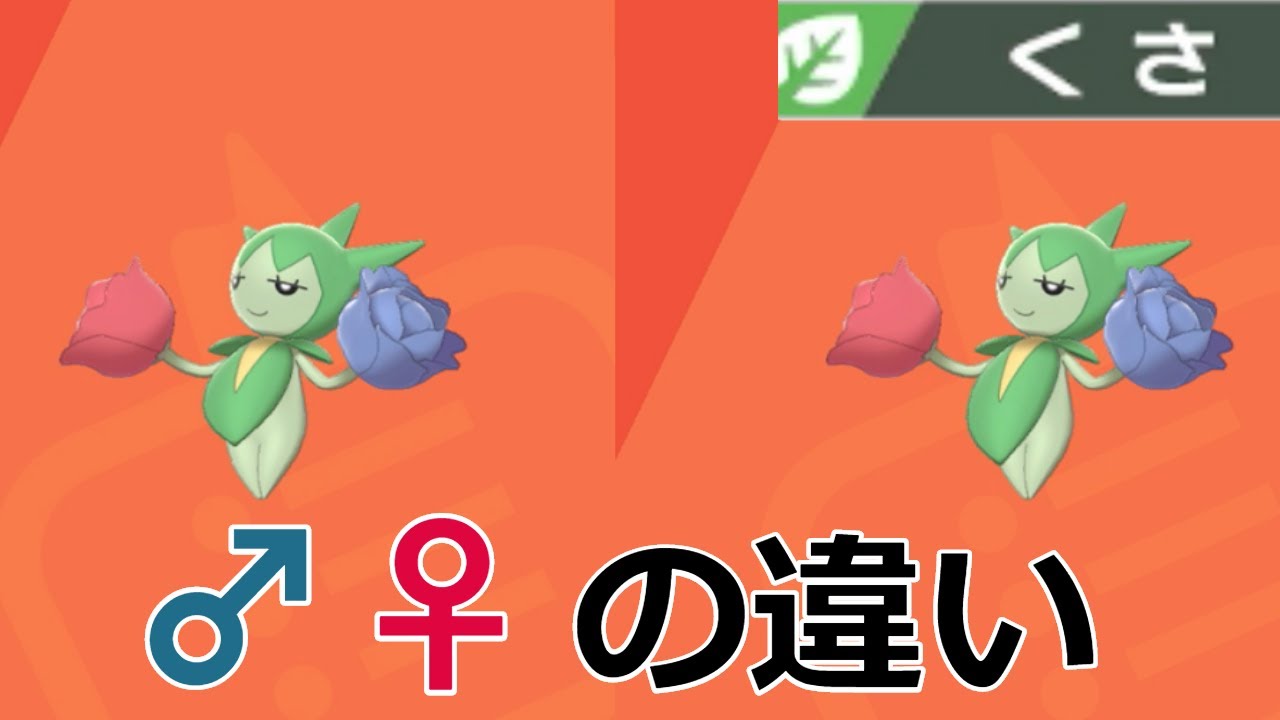 草 タイプ ソード ポケモン