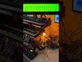 Quasimidi Sirius pattern 016 with Digitakt & Mbase #livesynthjam #electronicmusic #synthesizer (4)