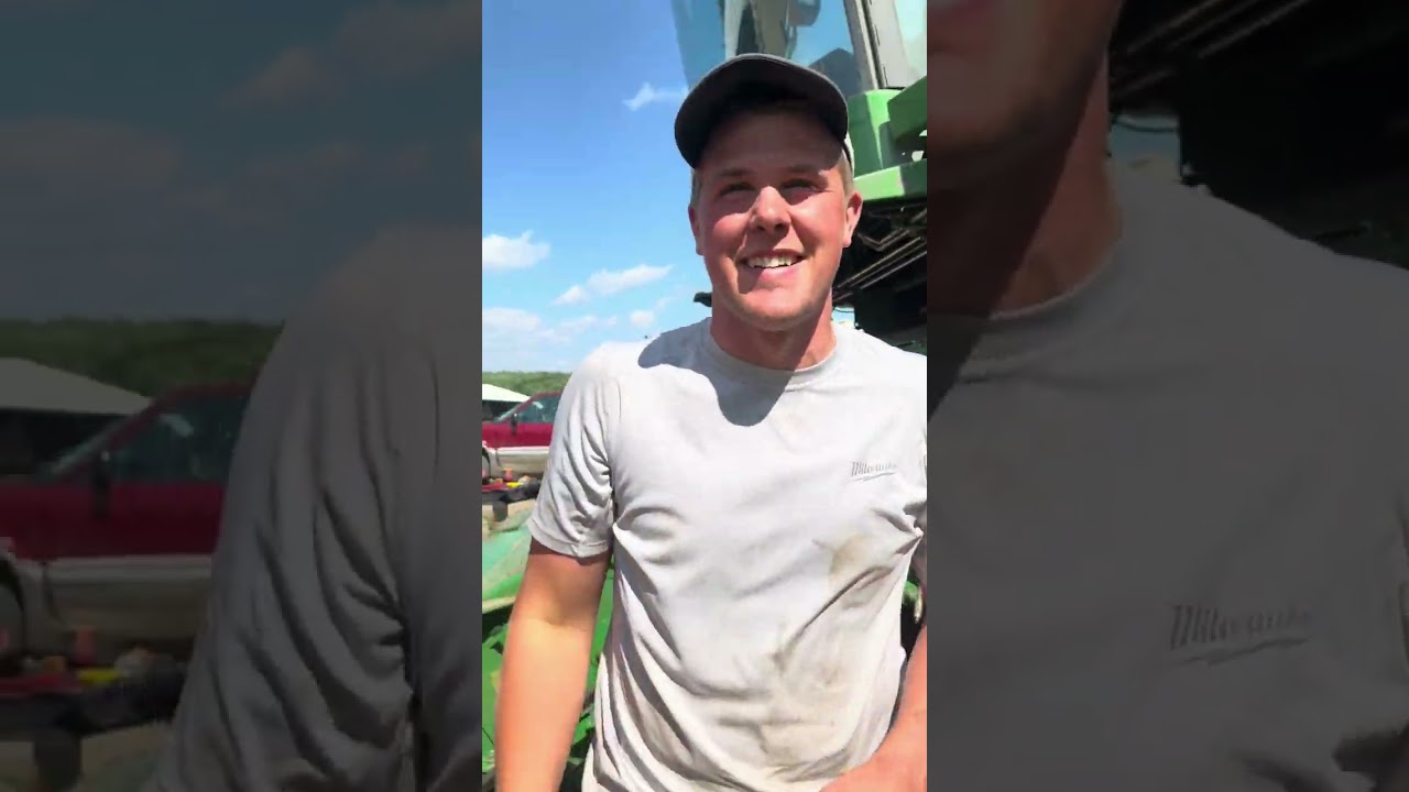 Entertaining work day 