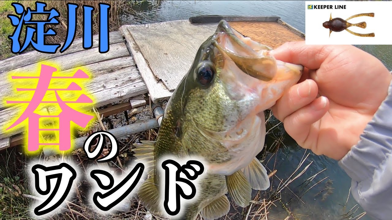 淀川バス釣り】ワンドの見えバスにはピット虫が効く！！ - YouTube