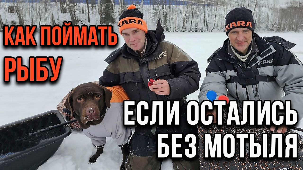 Как поймать рыбу, если остались без мотыля.