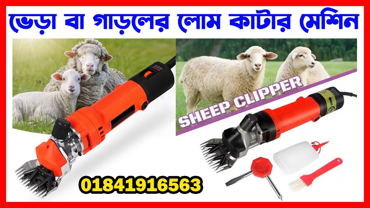 sheep clipper machine price in BD | ভেড়ার লোম কাটার মেশিন | sheep shearing machine price