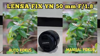 Unboxing Dan Review Lensa Fix Yongnuo 50 mm F/1.8 Canon | Hasilnya Bokeh