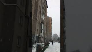 Зимы нету в Калининграде