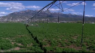 Utah farmers forced to slash crops as drought struggles set in