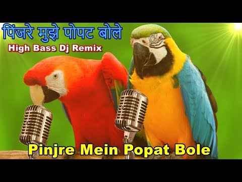 pinjre-mein-popat-bole-high-bass-dj-remix-song-ii-latest-dj-remix-song-2018