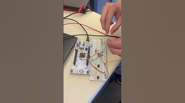 EE 329 A8 Cporras AvonFuchs