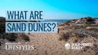 What Are Sand Dunes? A Guide to Understanding Nature’s Coastal Guardians | Beach Homes Lifestyles