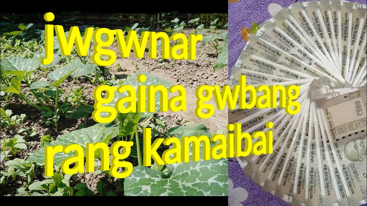jwgwnar Abad Maonanwi gwbang rang kamainw habai/@khwrwmbty # ...