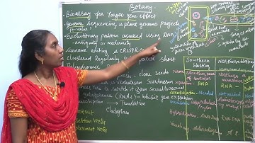 Grade XII - Botany || Bioassay for Target Gene Effect || Online Class, Bethlahem Matric School