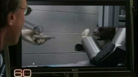 Demonstrating Brain Power