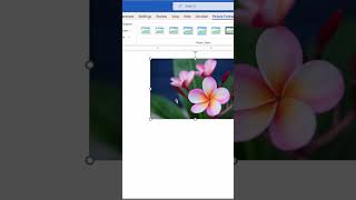 Add Artistic Effects (Filters) to Images in Microsoft Word 📸 #shorts screenshot 3