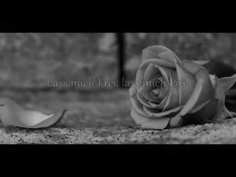 Lass mich Frei, lass mich Los!