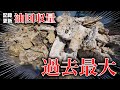築30年過去最大の油回収量!?3週間前に前業者が挑戦済み?【花のお掃除 #294】