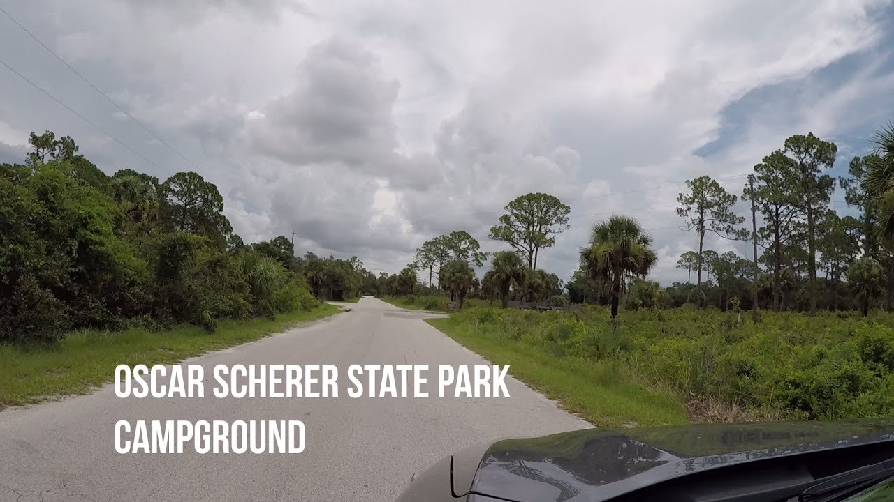 Oscar Scherer State Park Campground Loop Tour - YouTube
