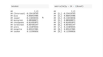 Generalized Least Squares in R