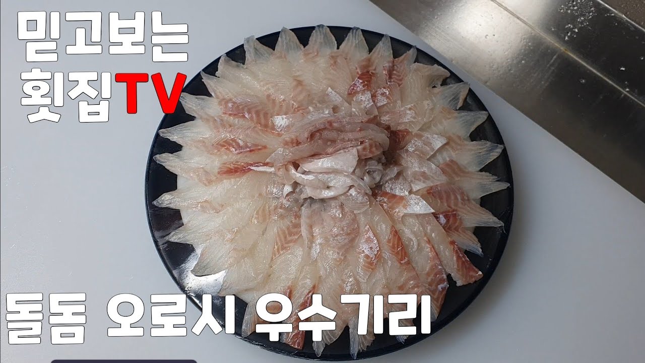 [ 횟집실장님 ] 돌돔 줄돔 오로시부터 우시기리까지 - YouTube
