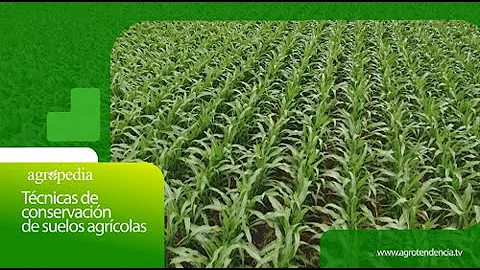 Agricultural soil conservation techniques │ Agriculture in 2 minutes