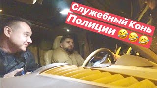 Служебный конь Полиция РЖАЧЬ 😂🤣 Служебный конь Полиция РЖАЧЬ 😂🤣