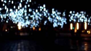 Ayala Triangle Garden 2011