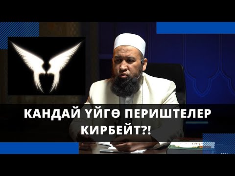 Video: Иттер эмнеге тилин илип коюшат?