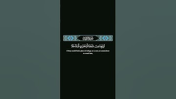 ويحلفون بالله انهم لمنكم#المنشاوي #quran #tilawat #تلاوة_خاشعة #راحة_نفسية #قرآن #تلاوات #لايك