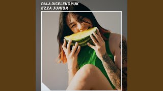 Download Lagu Goyang Siul MP3