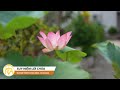 Suy Niệm Lời Chúa | Thứ Bảy Tuần V Mùa Phục Sinh (09/05/2026)