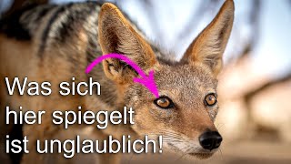 Tamron 28-75 f2.8 G2 im Test: 😏 Lohnt sich der Umstieg?