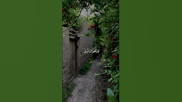 قران كريم #اجر_لي_ولك #القاريء #الشيخ #ياسر_الدوسري