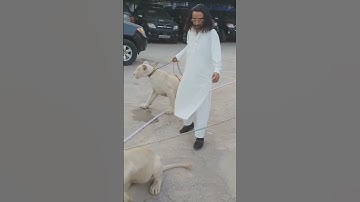 333 #333 Dera taji khokhar 333 #syed #zafar