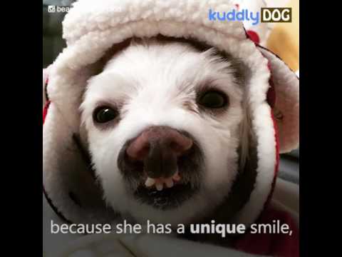 video editing software free Pez Smiles