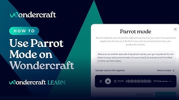 How to Use Parrot Mode for Full Voice Control on Wondercraft | Part 6