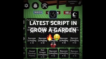 [NEW] GROW A GARDEN SCRIPT FOR DUPE AND SPAWN CANDY BLOSSOM AND RACCOON KEYLESS DUPE