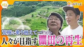 里山の美しい風景を未来に…600年の歴史「中田の棚田」が再生するまでの1年間【かんさい情報ネット ten.特集/カラフル】