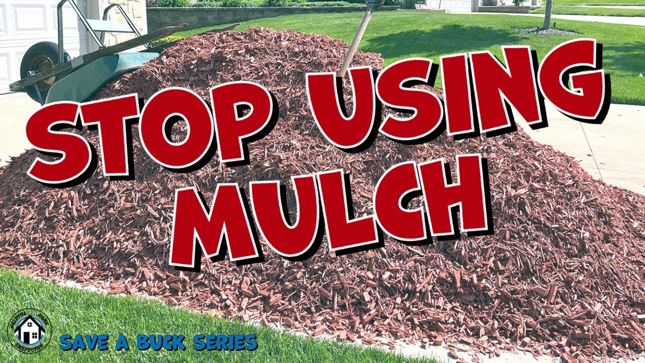 Save a Buck series stop using mulch and switch to decorative stone