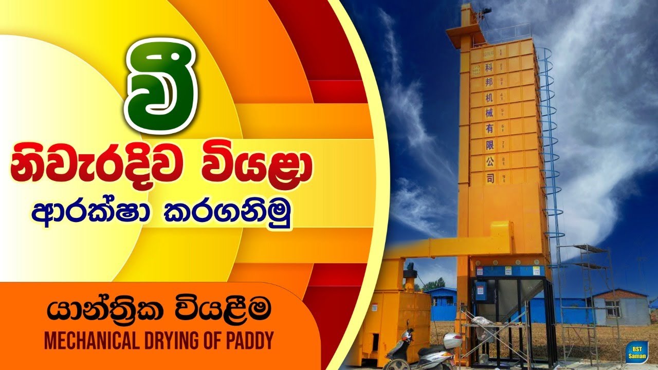 ධාන්‍ය වියලනය BST saman, Biosystems Technology, Paddy drying,machanical drying