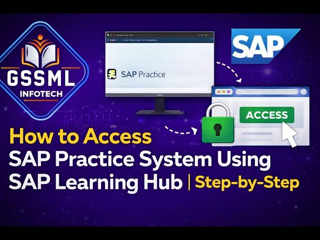 Using Sap System