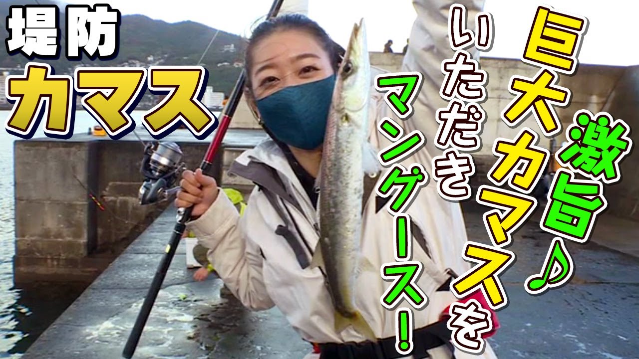 Go Go 九ちゃんフィッシング 402 釣ったら食べる 堤防カマス釣り 後篇 パワーイソメゲームがキマればお洒落料理 Youtube