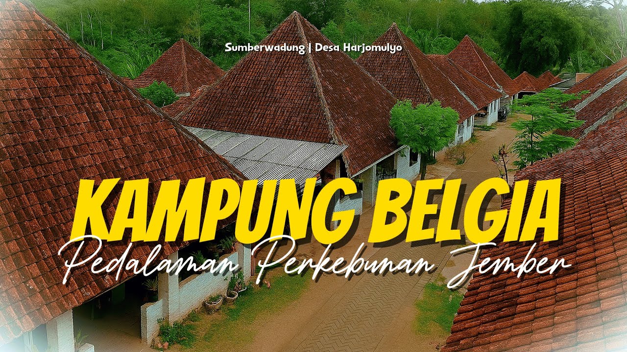 TAK DISANGKA❗ADA KAMPUNG BELGIA DITENGAH PERKEBUNAN DESA DI JEMBER