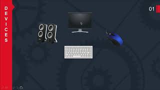 Peripheral Devices (Input/Output Devices)
