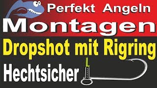 Perfekt Angeln – Hechtsichere Drop Shot Montage mit Rigring, hechtsicher auf Zander und Barsch